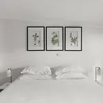 Elegant 1-Bed Oasis With Courtyard In North Sydney